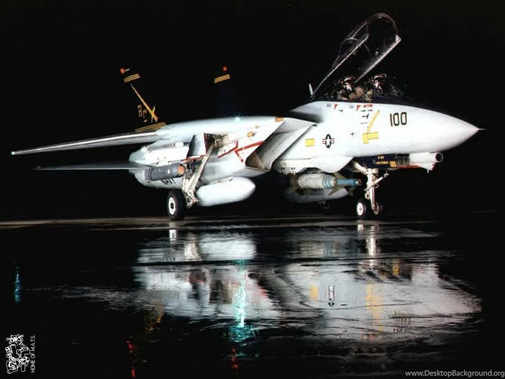 Wallpaper, F14 Tomcat Display