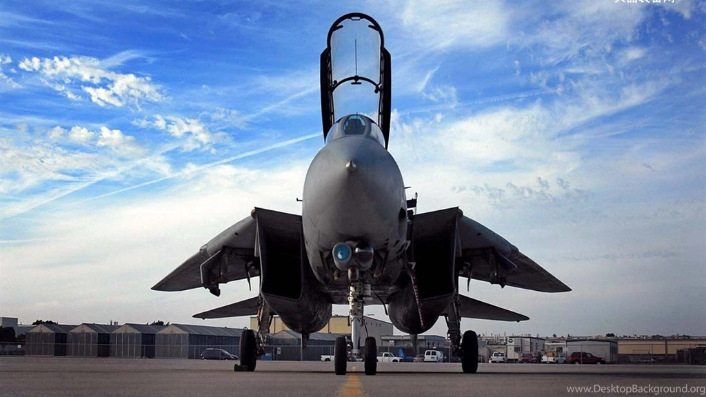 U.S. Navy F14 Tomcat Fighter
