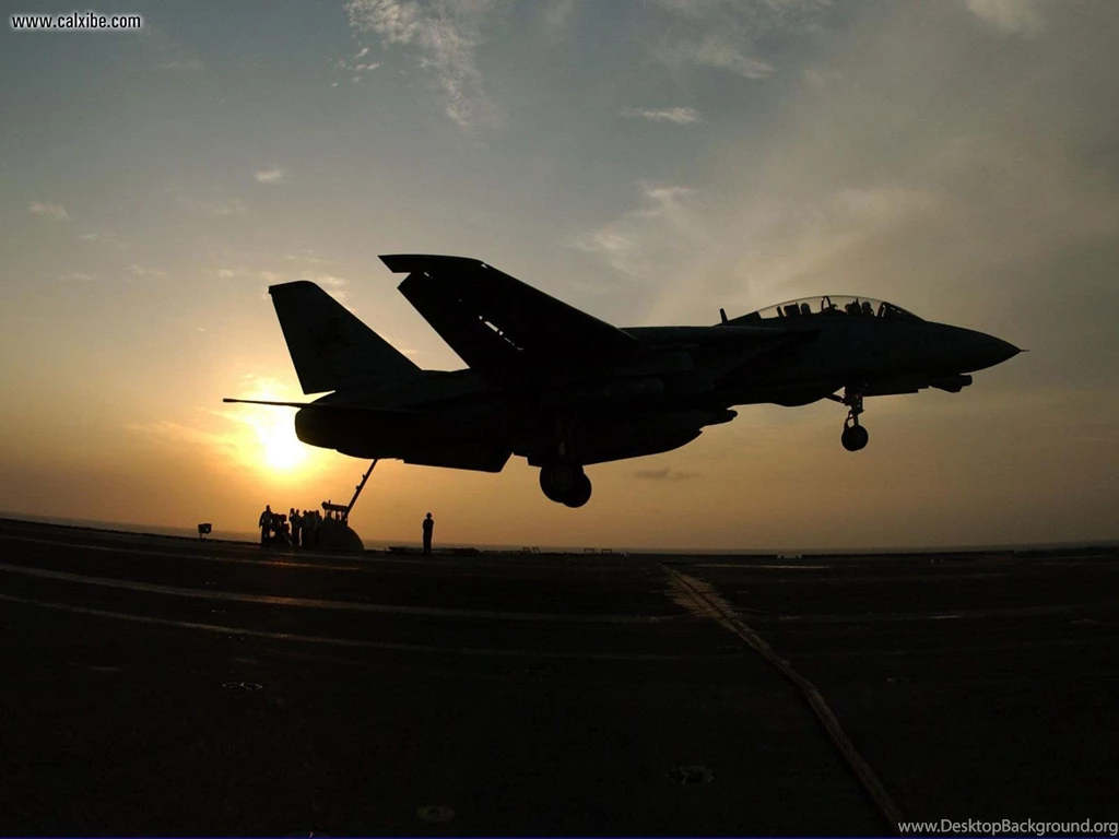 Aircraft / Planes: F14, Picture Nr. 14957
