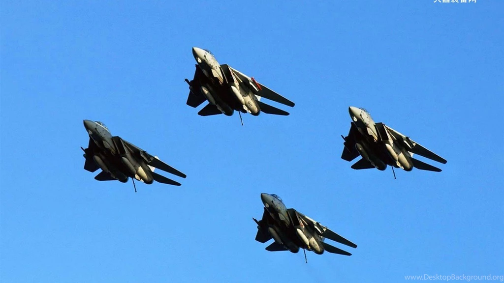 U.S. Navy F14 Tomcat Fighter