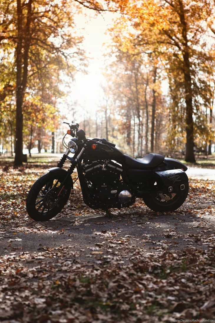 Iron 883 By Wannaberacer On DeviantArt