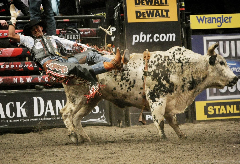 Bull Riding Bullrider Rodeo Western Cowboy Extreme Cow (1 ...