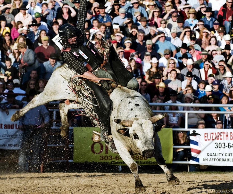 Bull Riding Athletes Wallpapers For Android Download Free