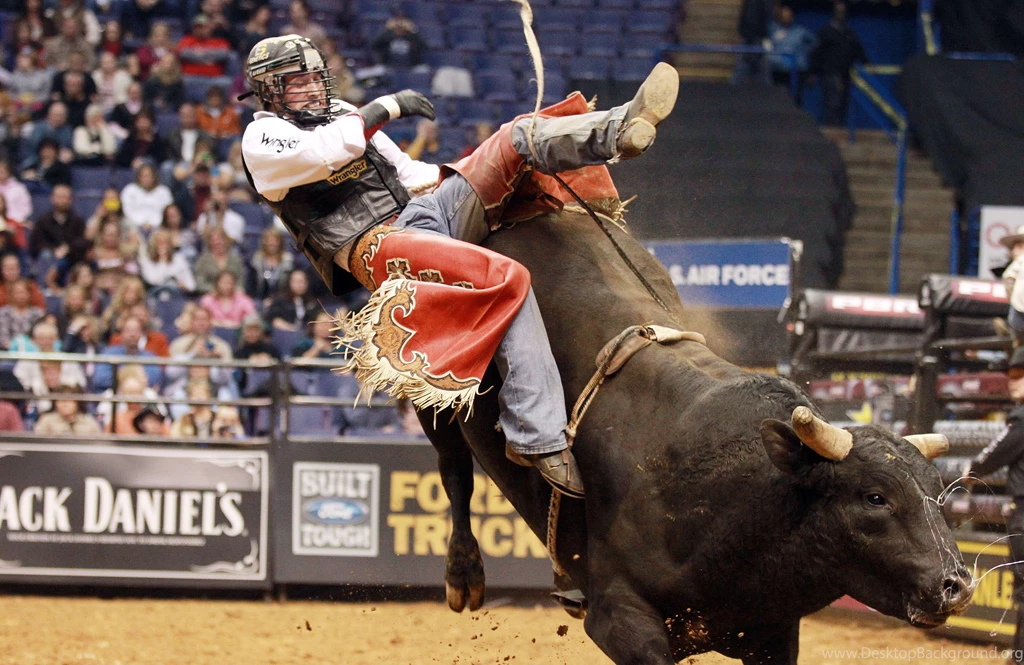 BULL RIDING Bullrider Cowboy Western Cow Extreme Bull Rodeo ...