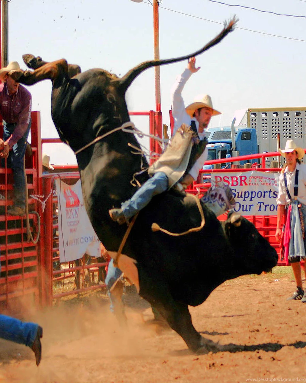 Cool Bull Riding Wallpaper Images Pictures Becuo