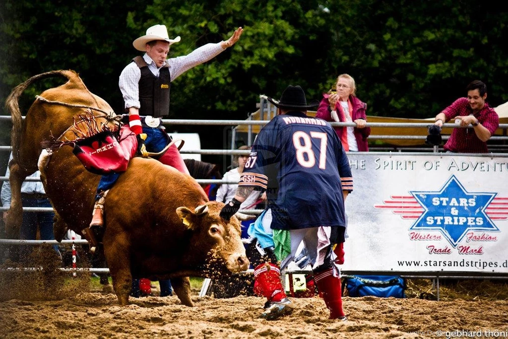 Bull Riding Wallpapers 7 Images And Wallpapers All Free To