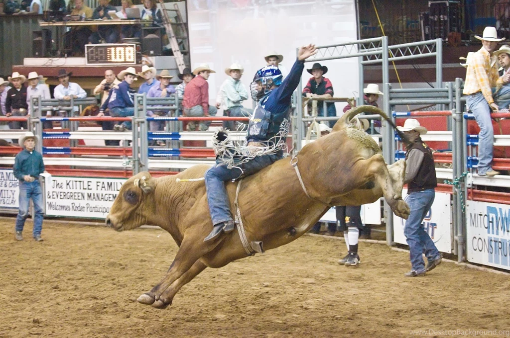 Bull Riding