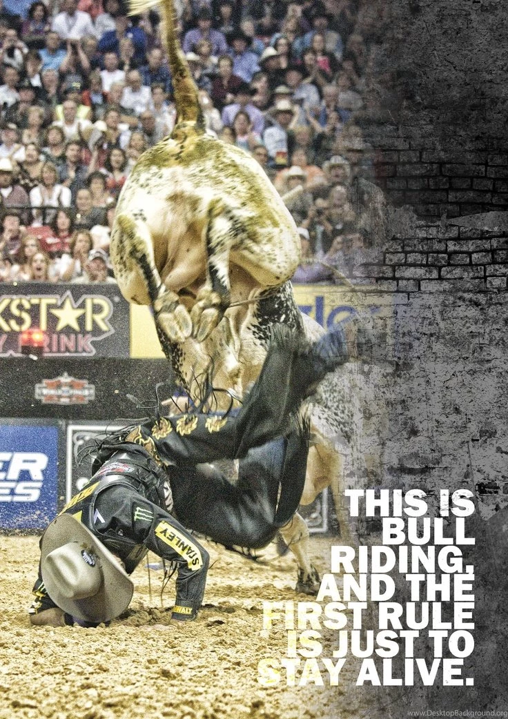 Bull Riding On Pinterest