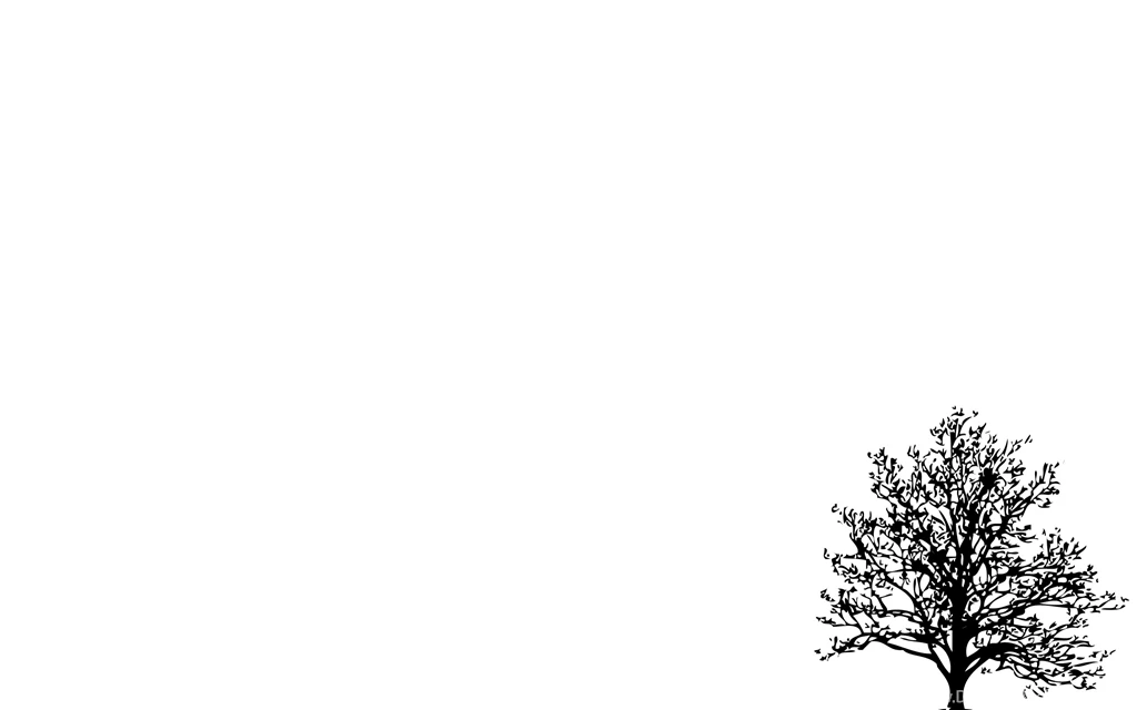 Hd Tree White Backgrounds