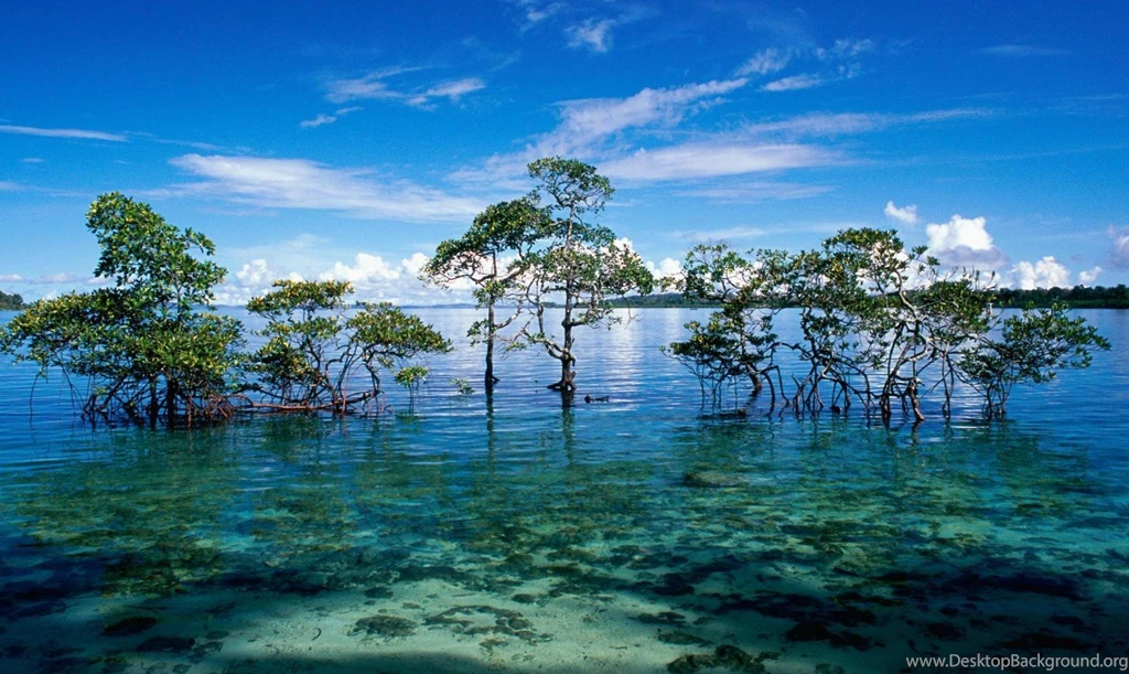 Wallpapers Hd Nature