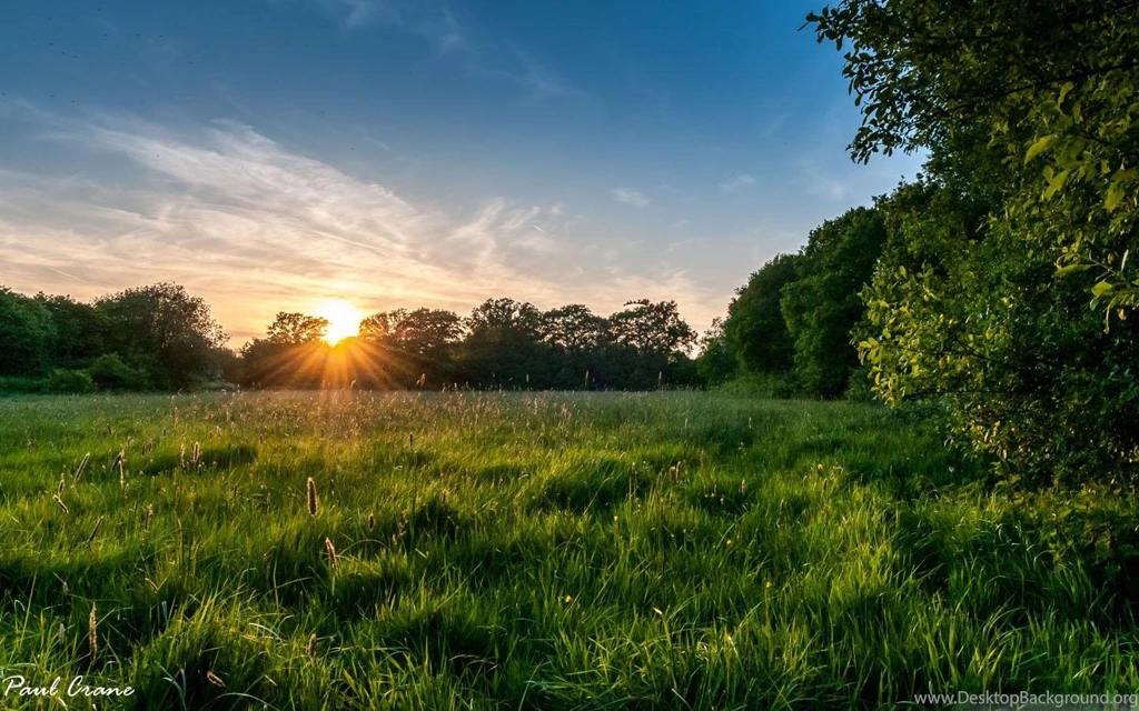 Nature Wallpapers Android Apps On Google Play