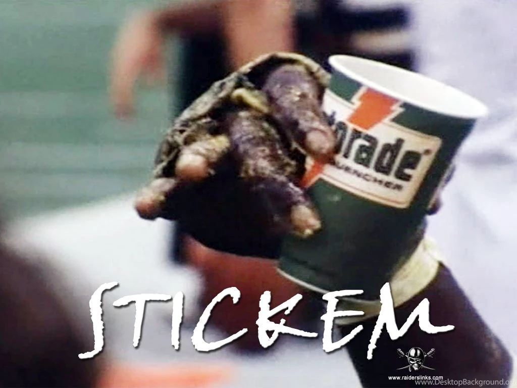 Oakland Raiders Wallpapers From RaidersLinks.com