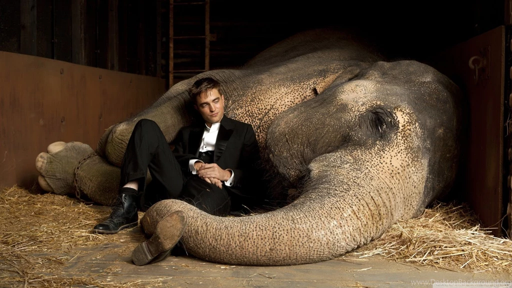 Water For Elephants HD Desktop Wallpapers : High Definition ...