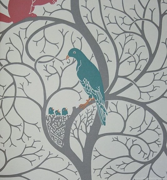Squirrel & Dove Wallpapers