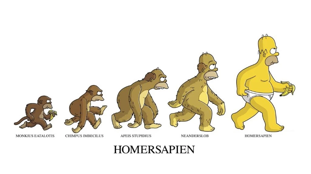 Homer Simpson Funny Cartoon Wallpapers HD