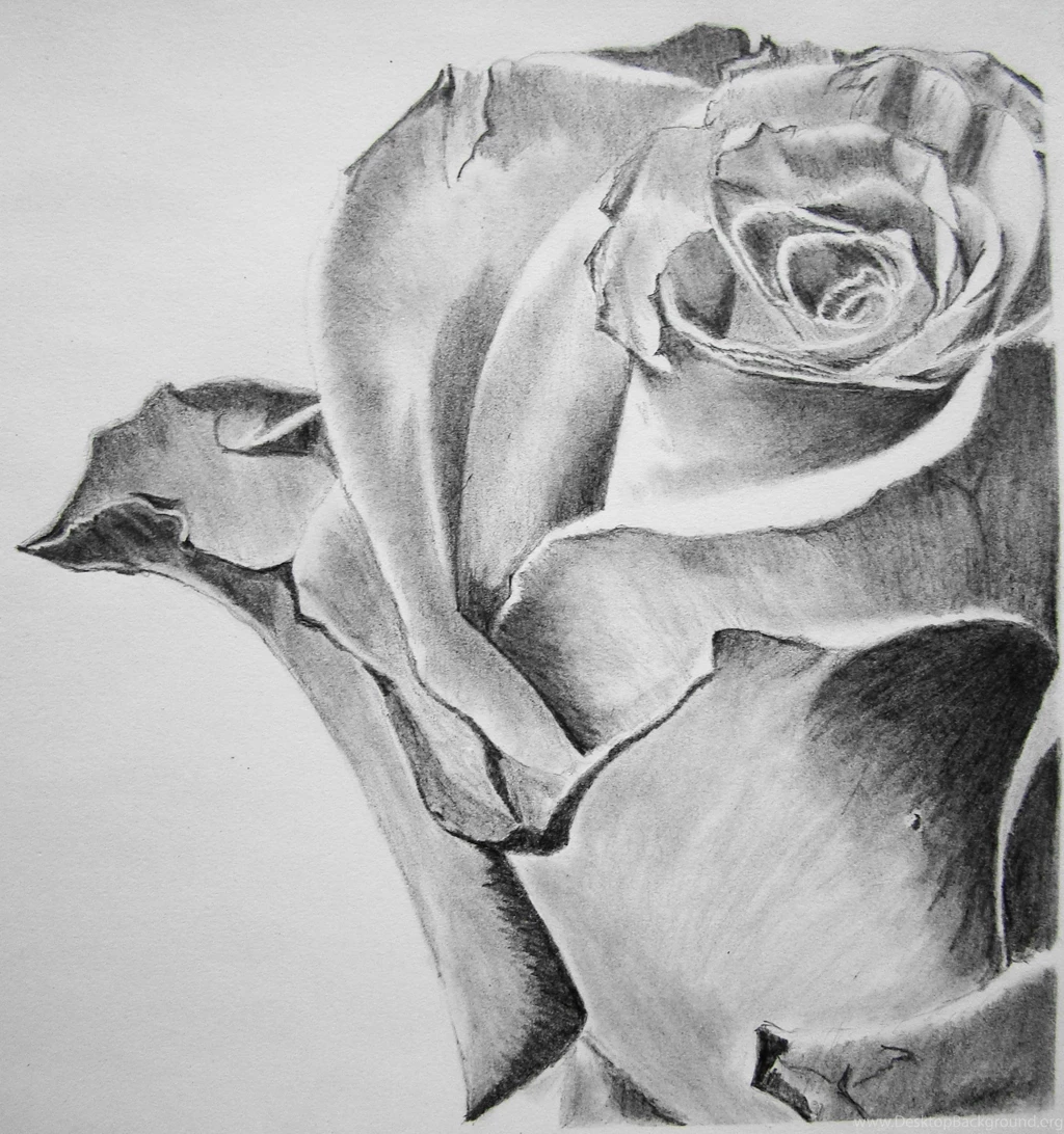 Pencil Art Wallpapers Wallpapers Cave