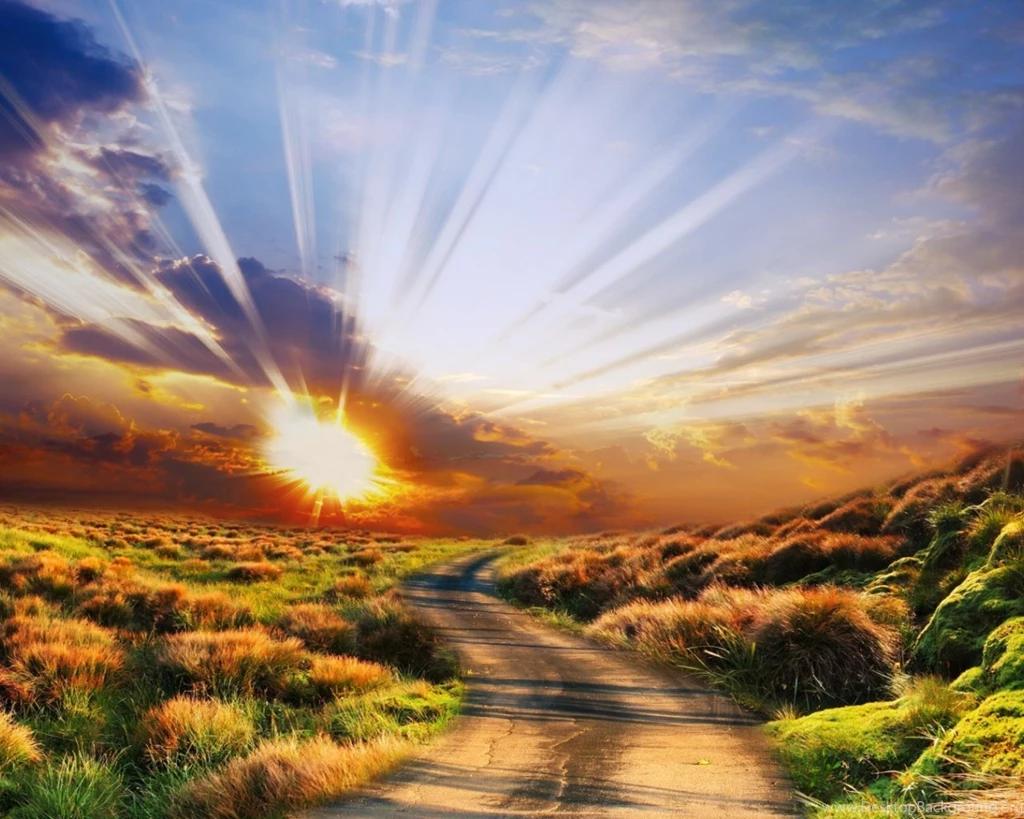 1280x1024 Powerful Sun Rays Road Plants Desktop PC And Mac Wallpapers