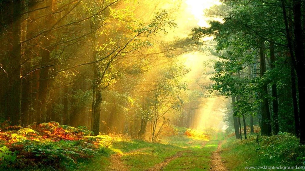 Sun Rays Wallpapers (