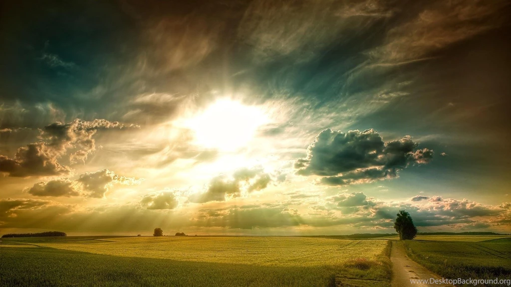 Amazing Sun Rays Over Wheat Fields (