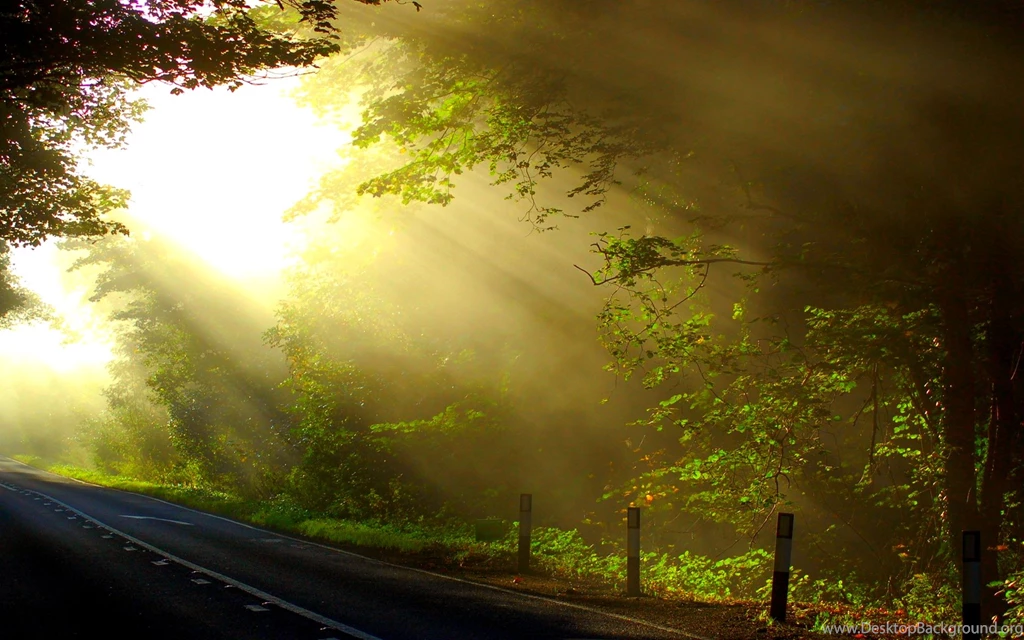 Sun Rays Picture
