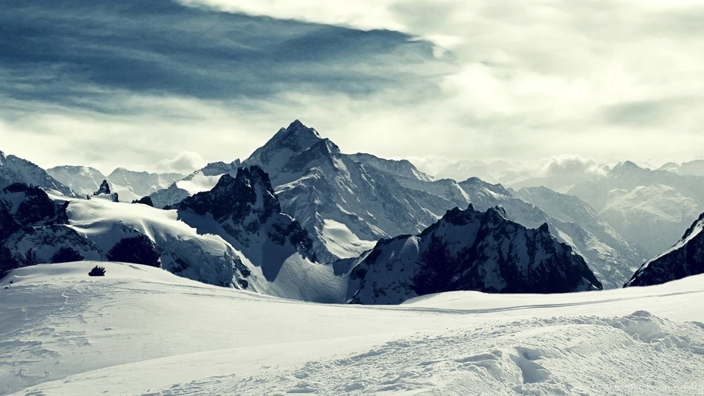 Lonely Trees Wallpapers