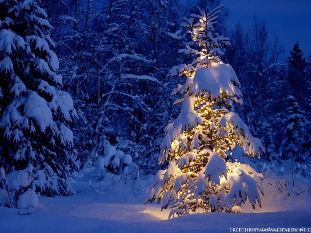 Christmas Snow Computer Wallpapers 192 HD Wallpapers Site