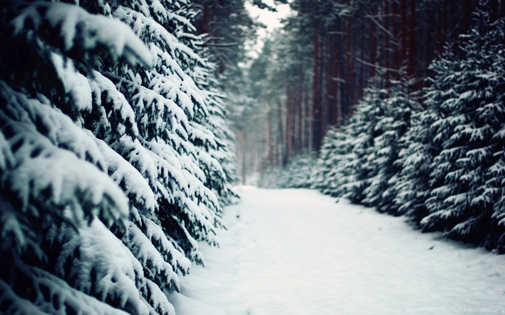 Winter Snow Computer Wallpapers, Desktop Backgrounds