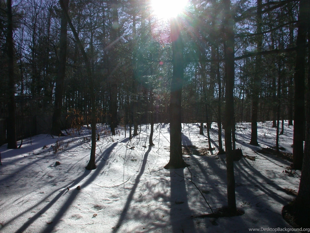Winter In New York City Wallpapers
