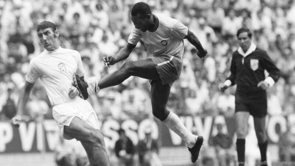 PELE On Emaze