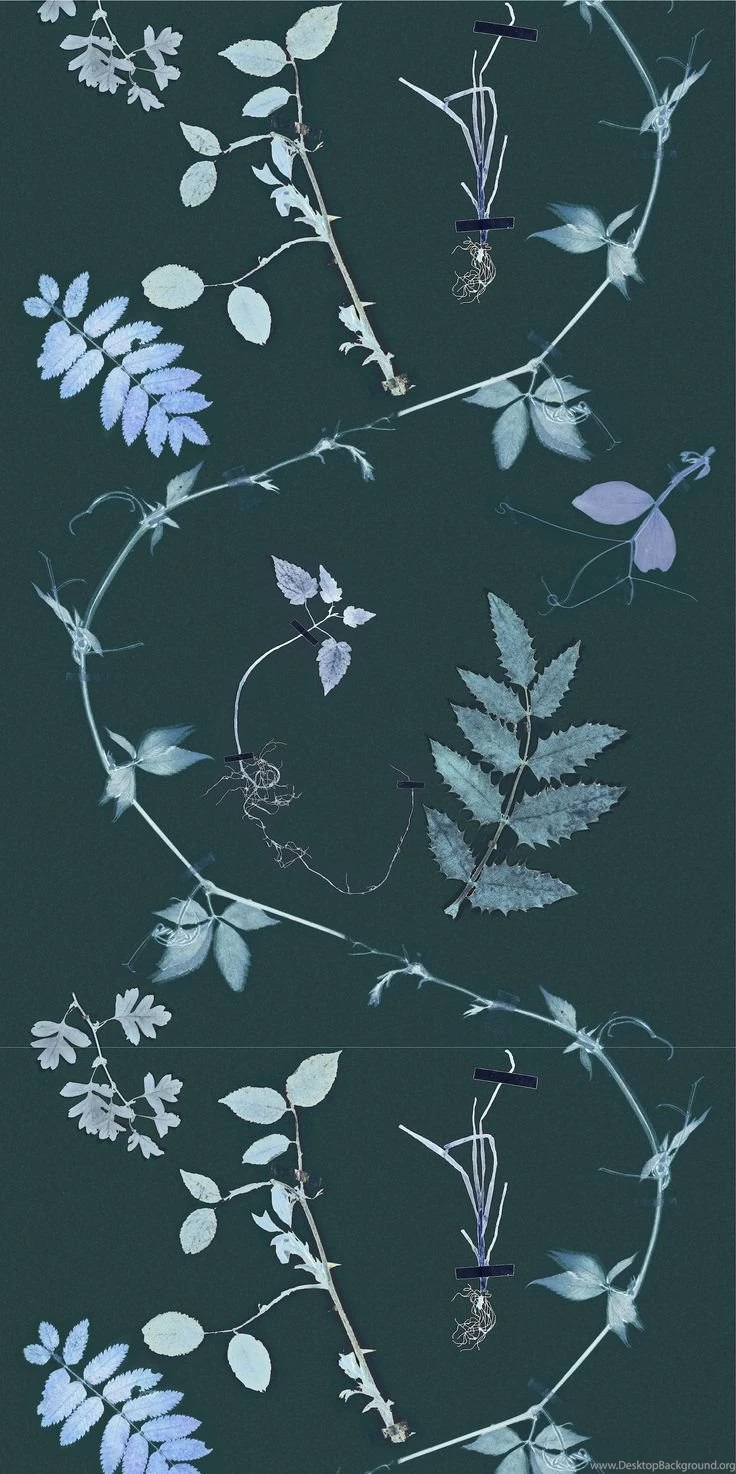 Dutch Garden Wallpapers In Teal, From Little Owl Design ...
