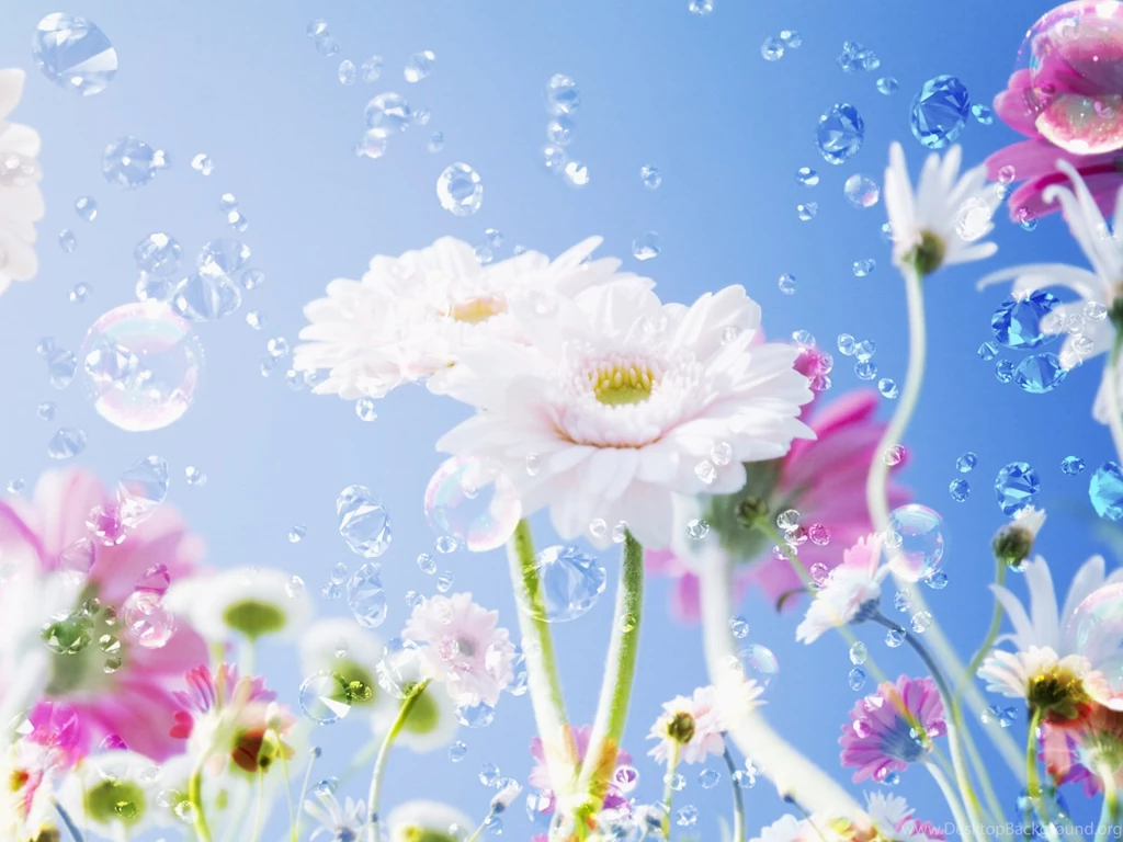 Wallpapers Uk Floral