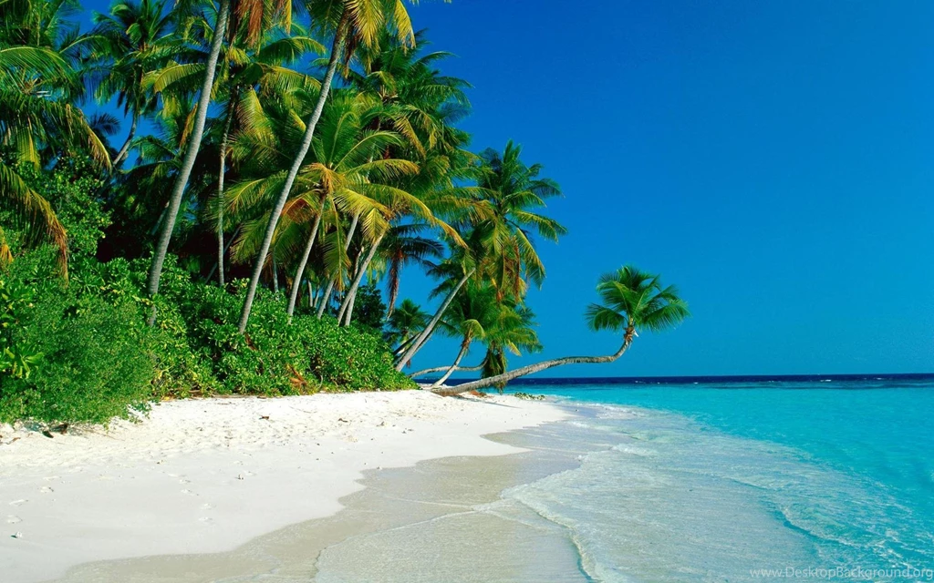 Tropical Beach Cook Islands Wallpapers Pintaw Hd Wallpapers For ...