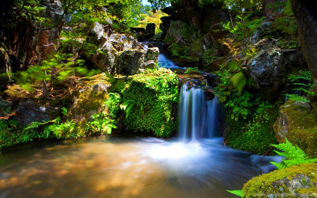 Beautiful Falls Wallpapers