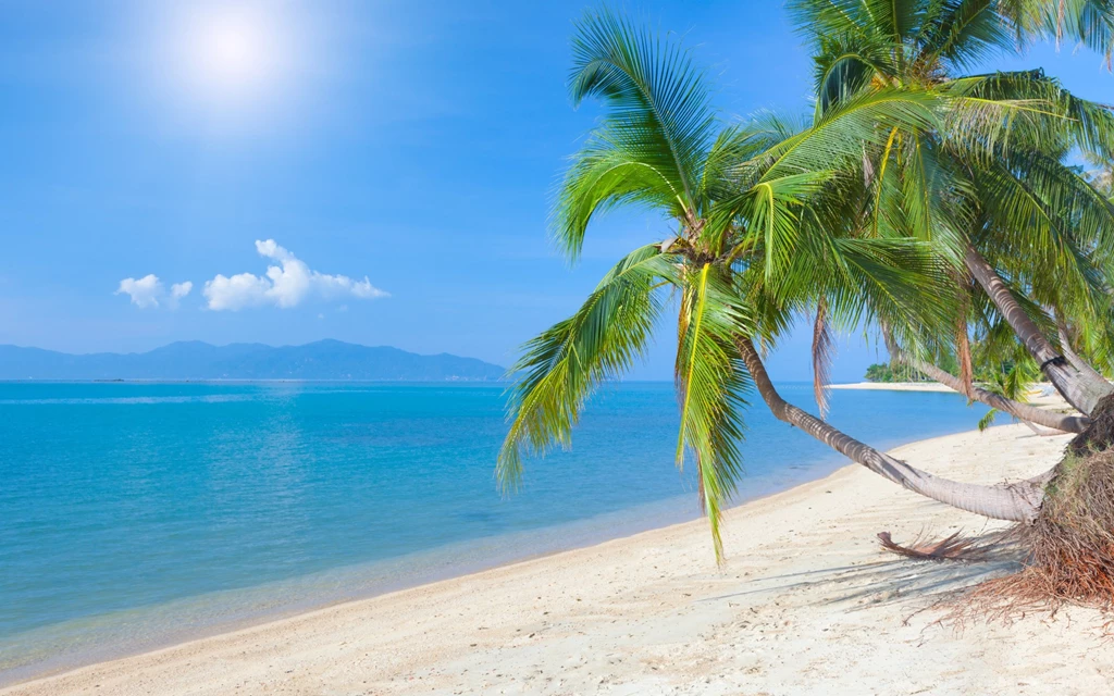 Tropical Beach Wallpapers   Ndemok.com