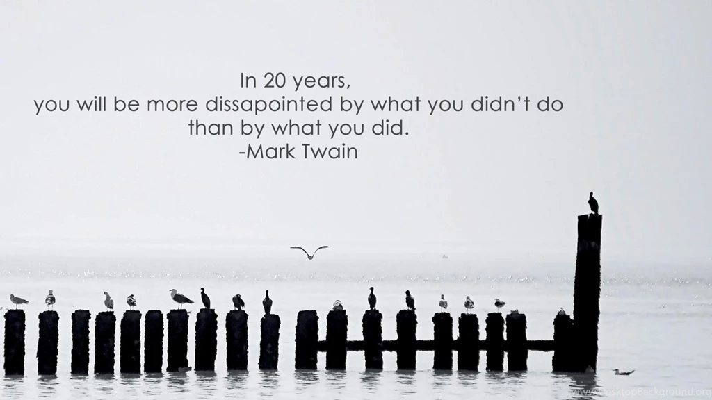 Seagulls Mark Twain Inspirational Motivation Motivational Sea ...