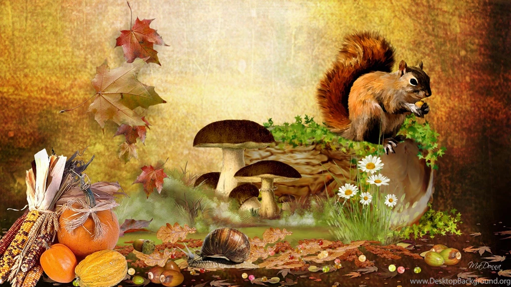 Fall With Animal Android Wallpapers Attachment 4059 Amazing ...