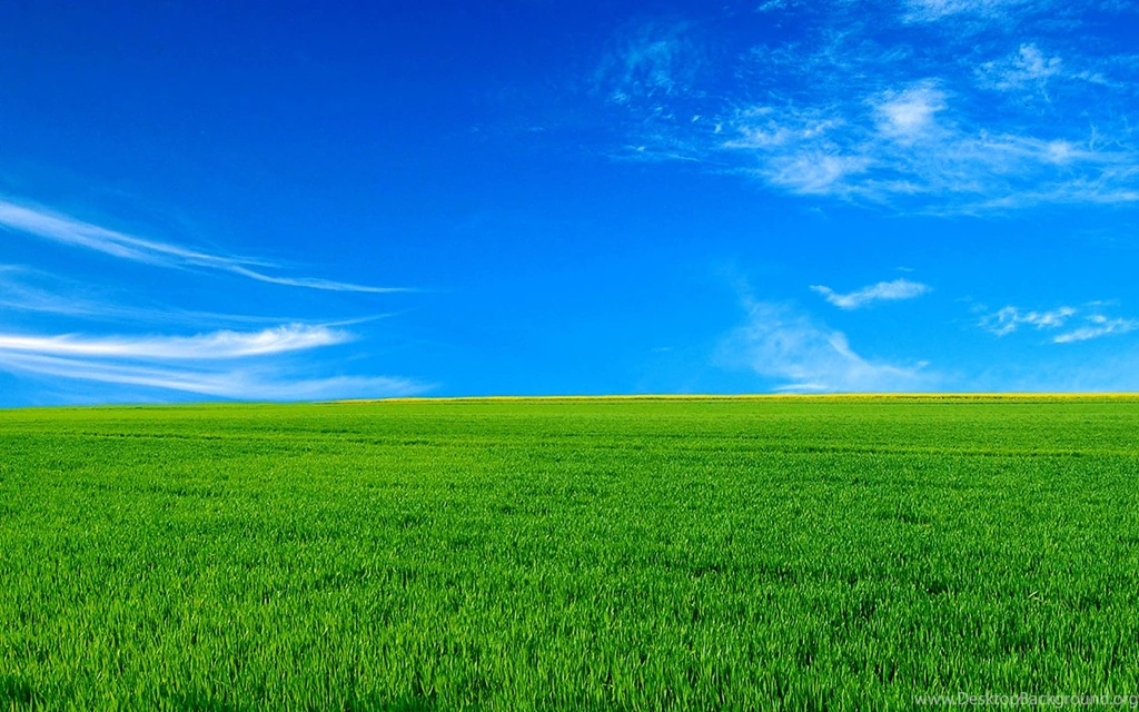 Bliss Wallpaper fBWC 26520 Hd Pictures