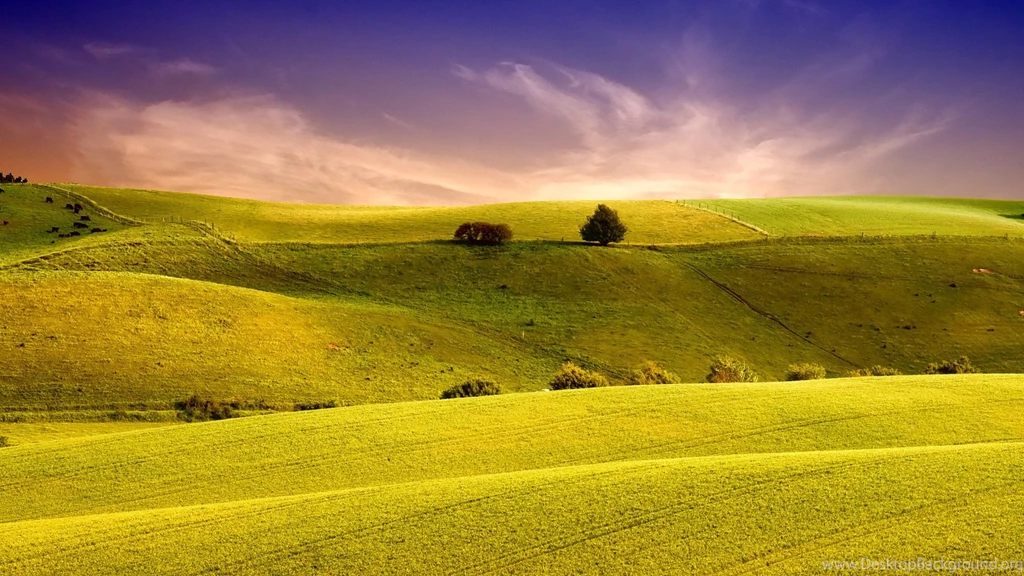 Fonds D'écran Bliss : Tous Les Wallpapers Bliss