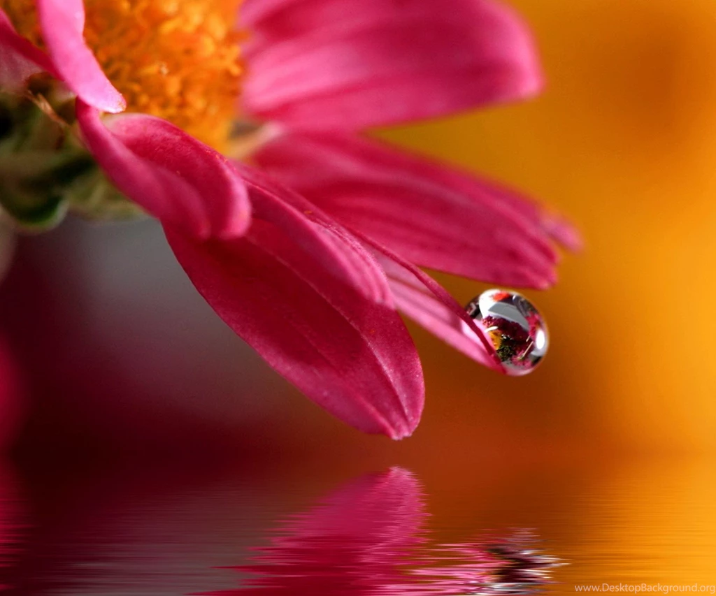 Desktop Hd Nature In Wallpapers