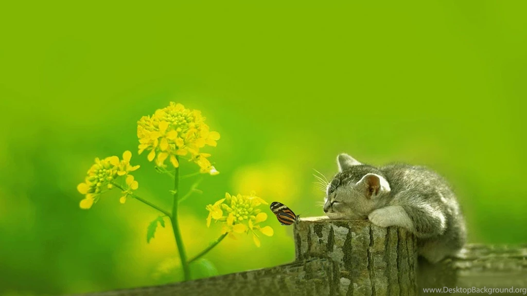 Cute Backgrounds Nu Q39W NuHDWalpaper