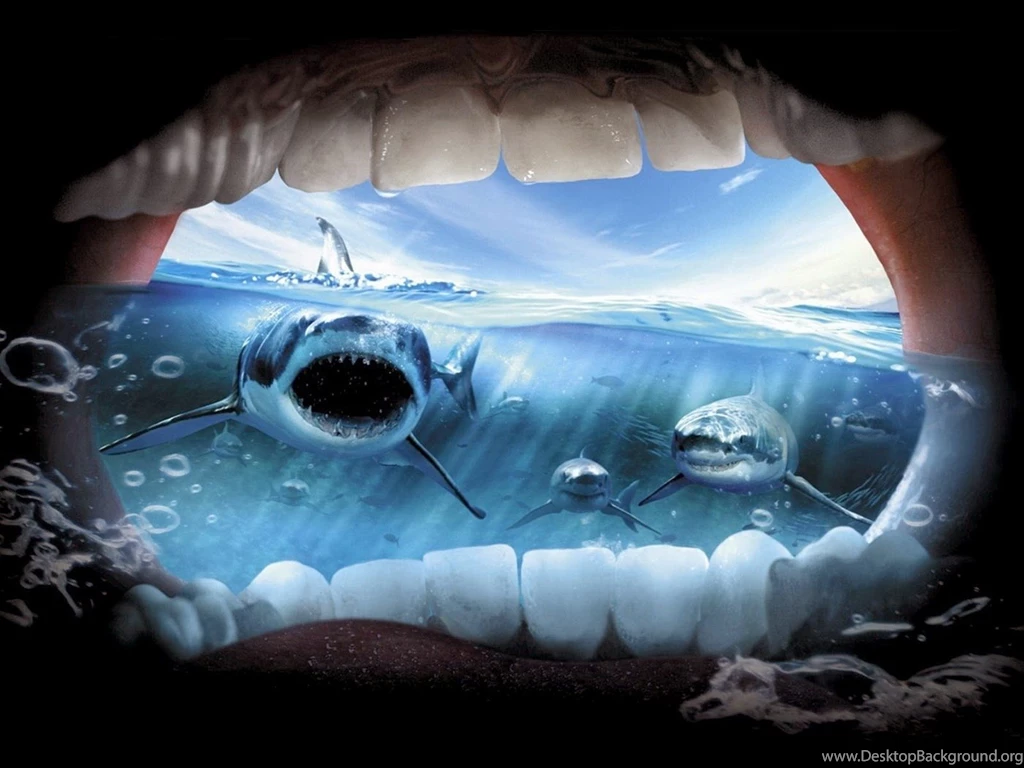 Most Creative Funny Pictures For Sharing Humor HD Wallpapers