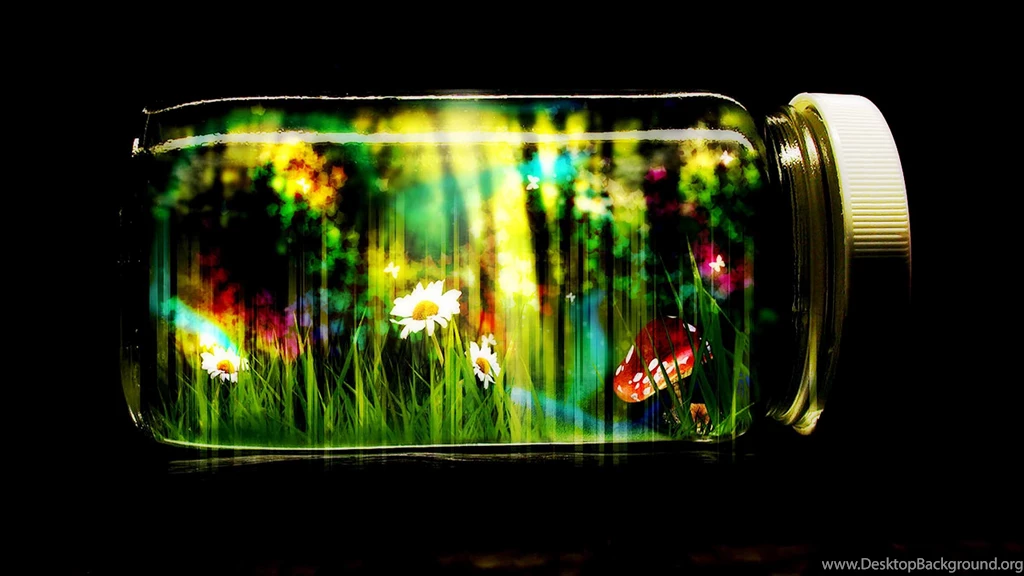 HD Wallpapers