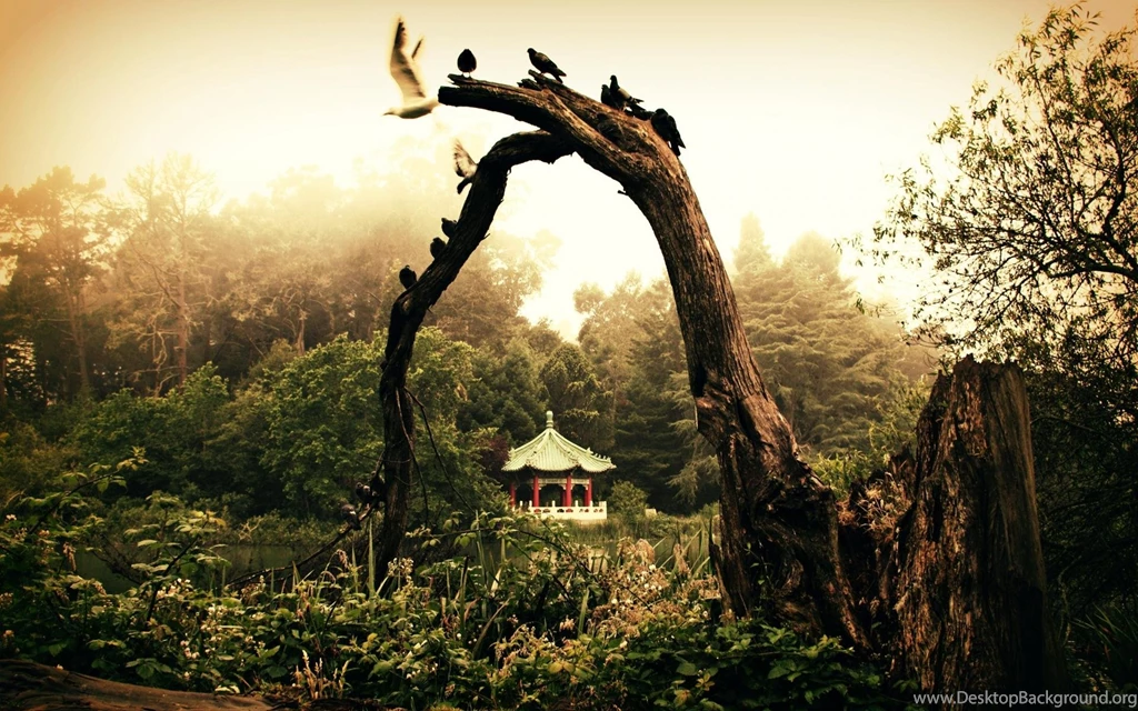 Pagoda Wallpapers >> Backgrounds With Quality HD