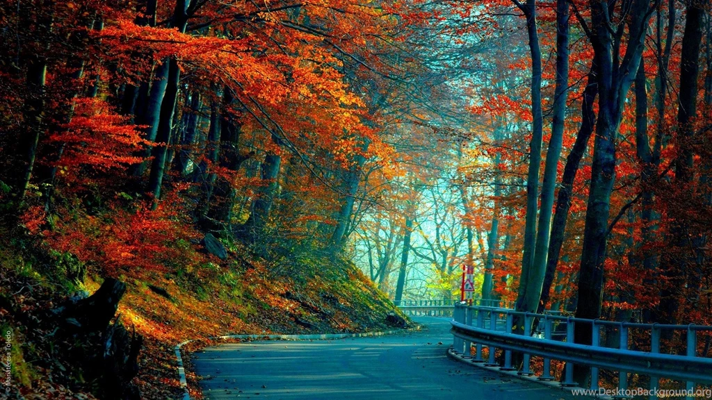 Full HD Wallpapers Road Autumn Forest Foliage, Desktop Backgrounds ...