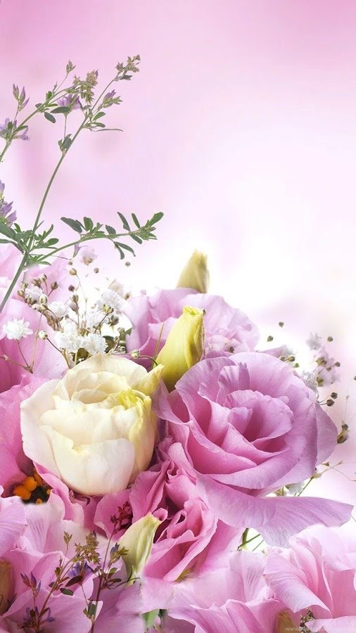 Flowers Live Wallpapers Android Apps On Google Play
