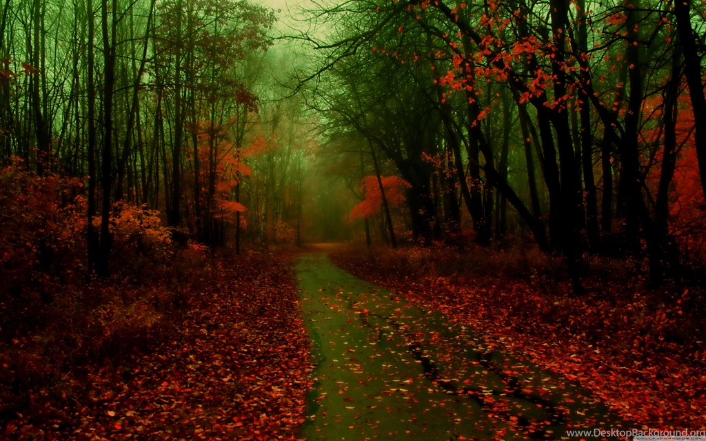 Misty Autumn Wallpapers Full HD [3840x2400]   Free Wallpapers Full ...