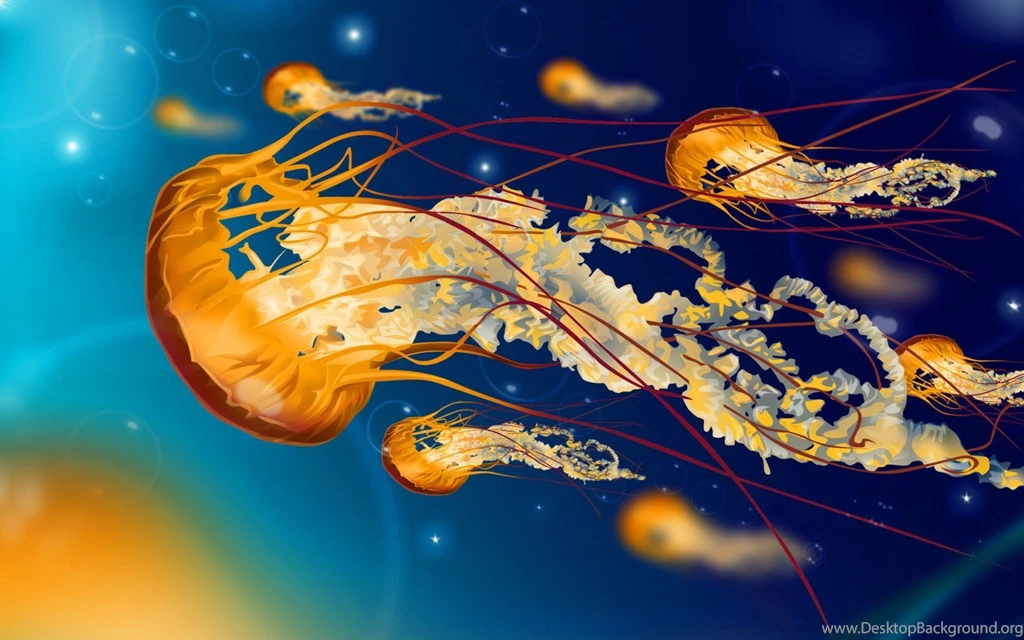 Colorful Jellyfish Wallpapers Hd