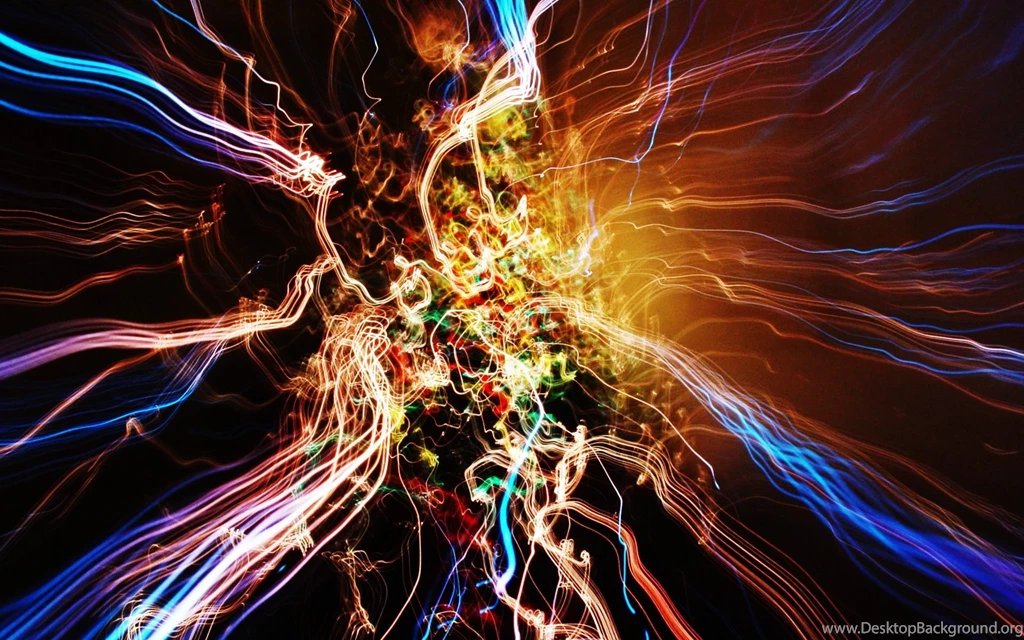 Dog Look Lights Amazing Photo