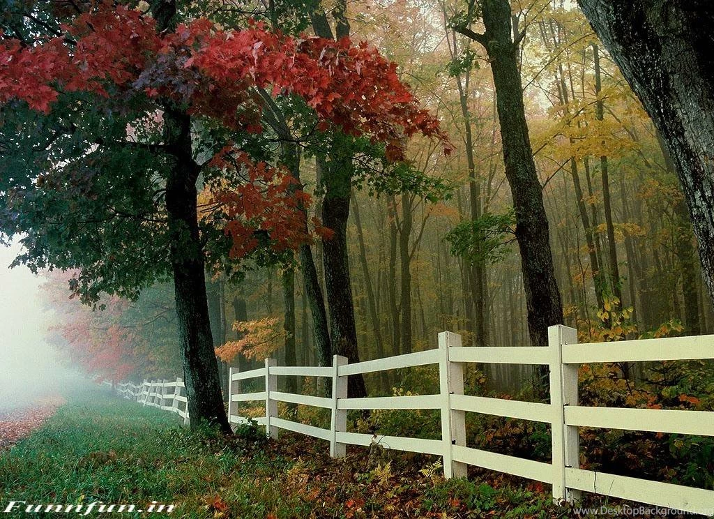 Hd Wallpapers Download