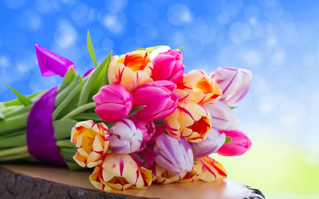 Colorful Flower Free Desktop Wallpapers